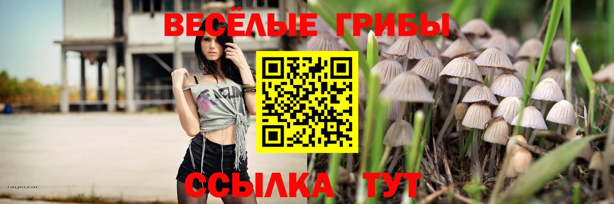 Трёхгорный  Псилоцибиновые грибы ЛСД  Вход с VPN 